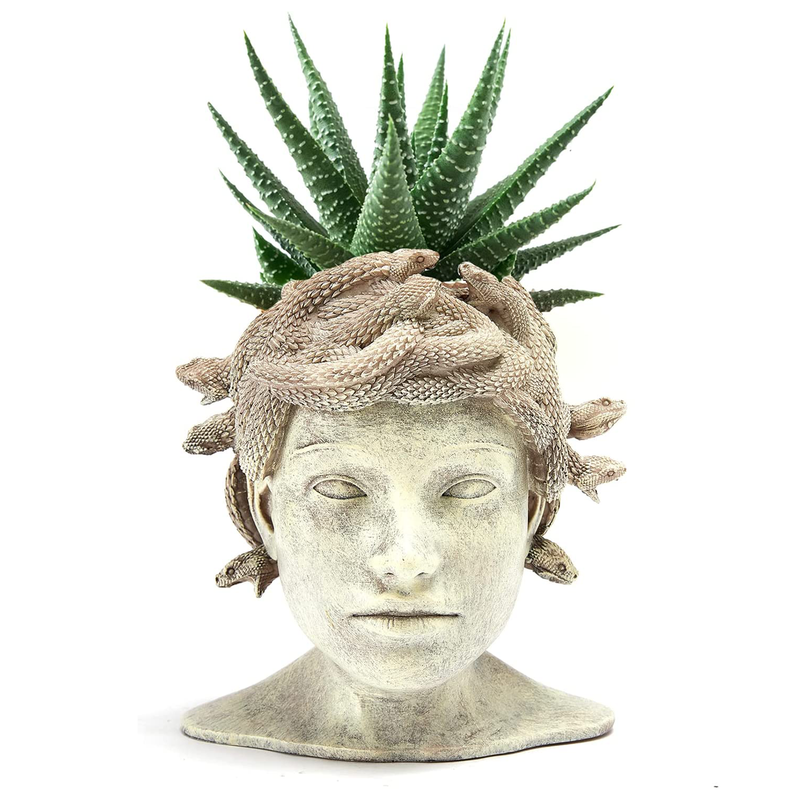 Medusa Head Planter, Large Solid Stone Face Planter