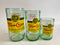 Texas UpCycle - Topo Chico Drinkware- Extra Large