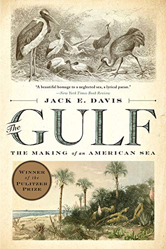 Gulf: The Making of an American Sea