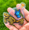 CLEAR STICKER: Tortoise Bottle With Butterfly
