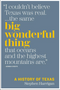 Big Wonderful Thing: A History of Texas