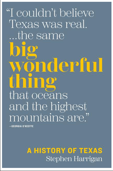 Big Wonderful Thing: A History of Texas