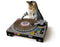 SUCK US - Cat Scratch DJ Decks - unleash your cat’s inner DJ