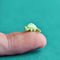 Camp Hollow - World's Tiniest Iguana Figurine