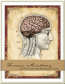 Boxed Notecard Set - Human Anatomy