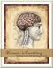 Boxed Notecard Set - Human Anatomy