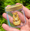 CLEAR STICKER: Exotic Pet Quokka (Cute Australian Animal)