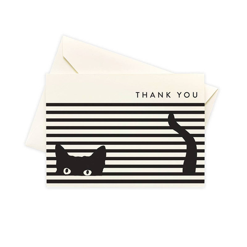 Cat Stripe Boxed Notes