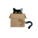 Vinca - PsPsPsPecial Delivery - Cat in a Box Brooch