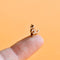Camp Hollow - World's Tiniest Kangaroo Figurine